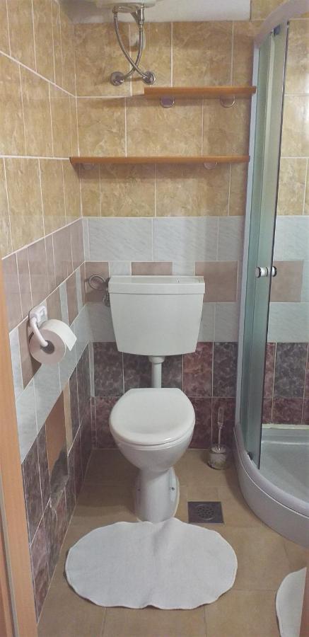 Apartment Beautiful Črni Kal מראה חיצוני תמונה